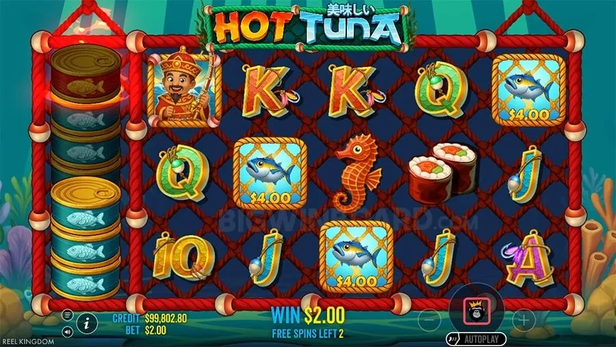 Jili Live Blackjack Game